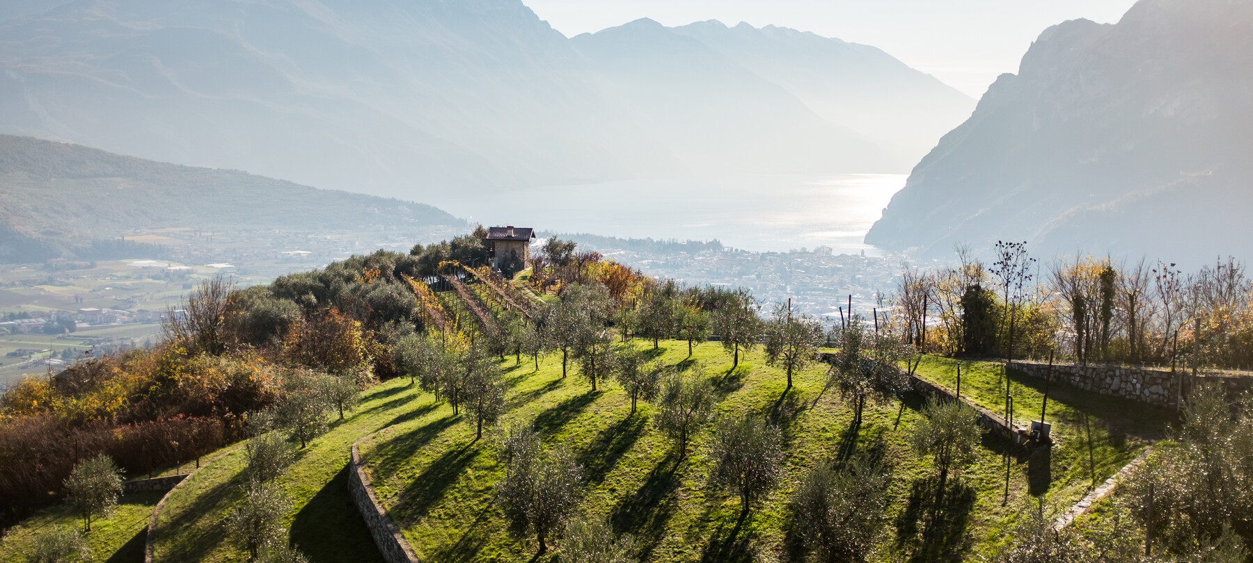 Olio Extravergine Selezione Famiglia Martelli del Lago di Garda